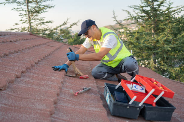 Best Roof Leak Repair  in Verandah, FL