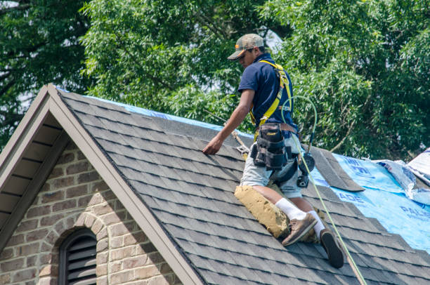 Best Emergency Roof Repair  in Verandah, FL
